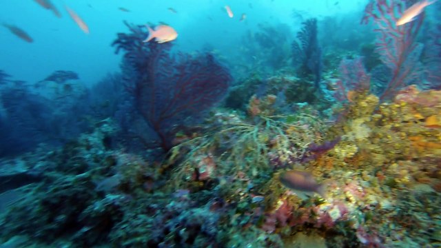 Le Levant La ciotat 17/11/14