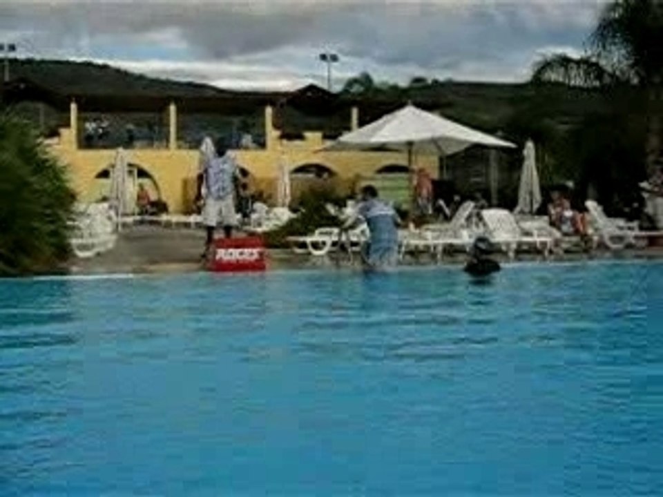 Napitia