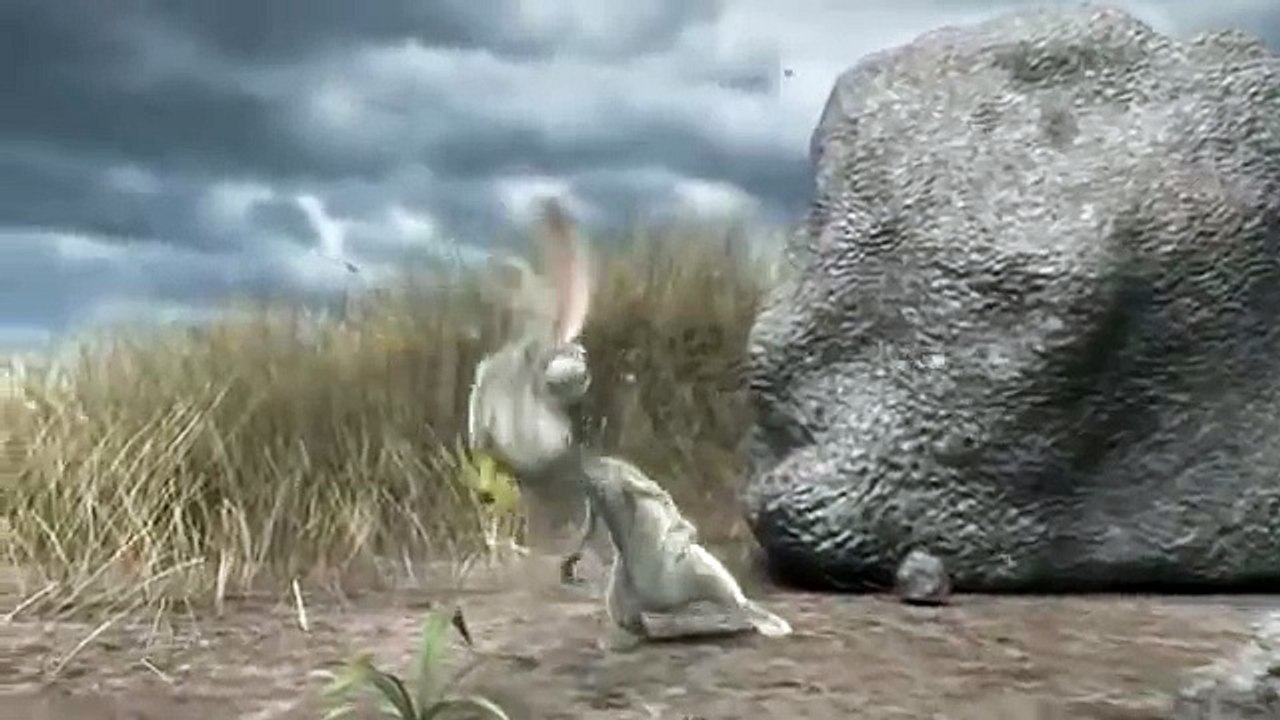 Tests sur les animaux