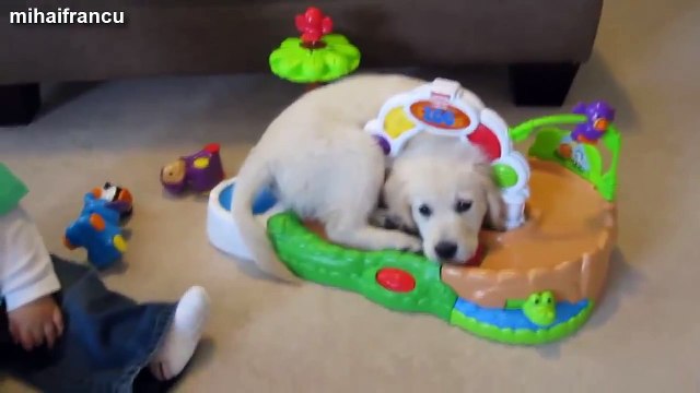 Kittens And Puppies Playing With Babies Compilation 2014 [NEW].