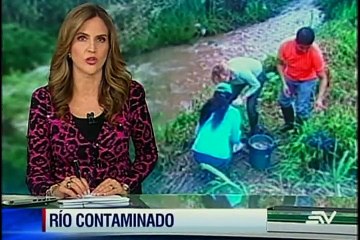 Peces muertos en el río Conejo
