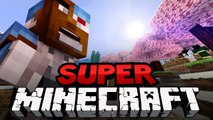 Path | Super Minecraft Heroes [Ep.43]