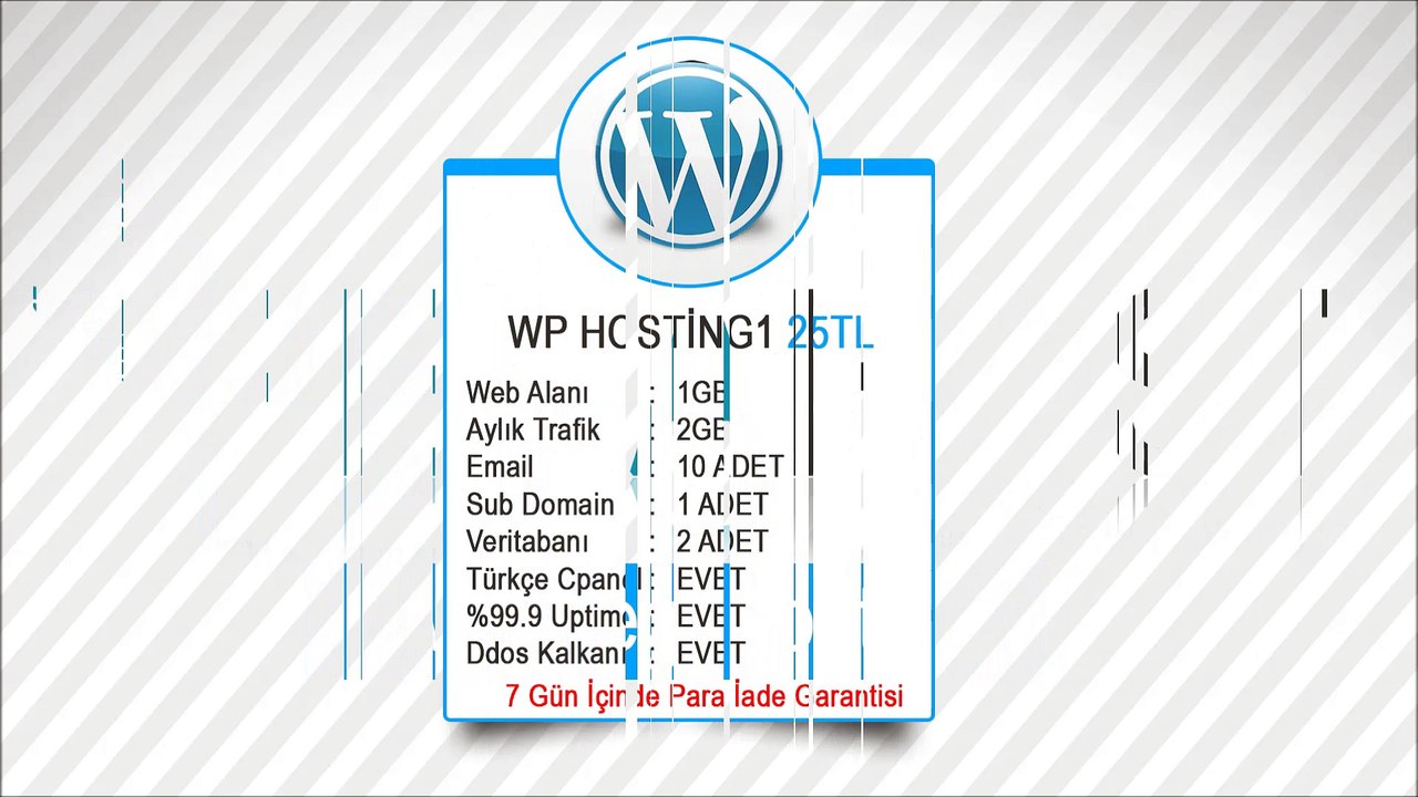 Wordpress Hosting
