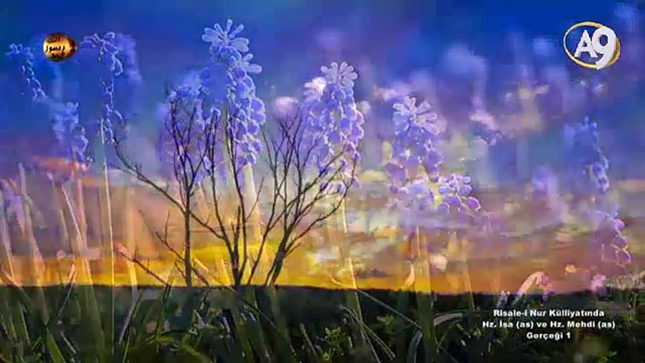 Risale-i Nur Külliyatında Hz. İsa (as) ve Hz. Mehdi (as) Gerçeği 1- Bediüzzaman'ın müjdelediği Hz. Mehdi (as)