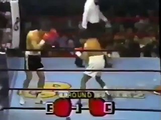 Julio Cesar Chavez vs Nicky Perez  1988-03-05