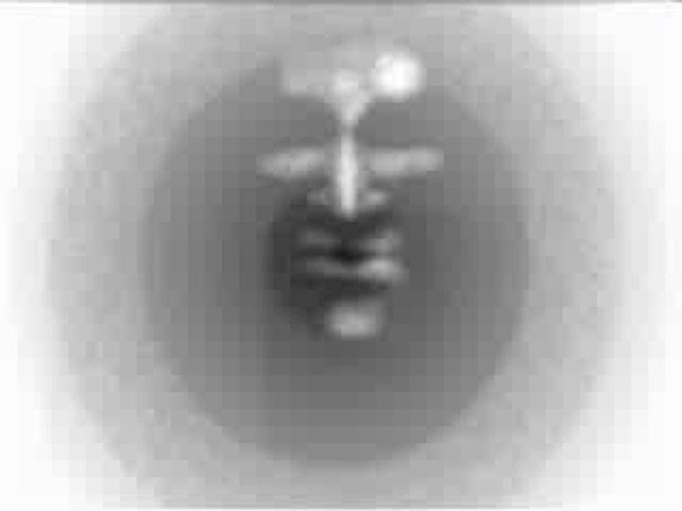 CLIP VIDEO COMPO ELECTROCASH (refect2)