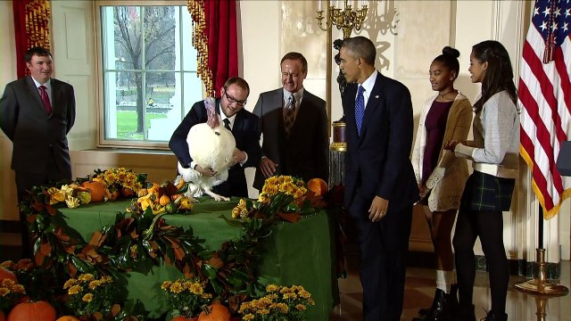 Obama perdoa perus antes do jantar de Ação de Graças