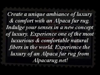 Area Rug From Alpacarug.net