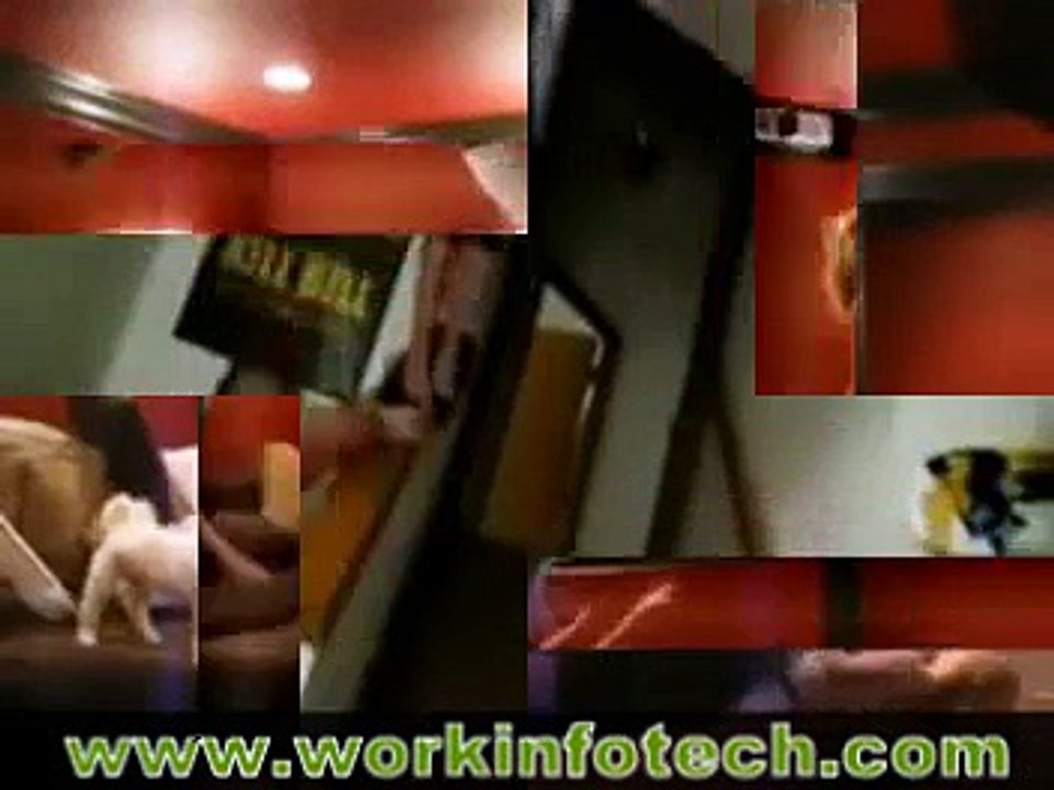 Best Funny Videos