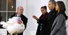 Obama, Şükran Günü Hindilerini Affetti