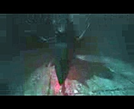 Download kanasnap v.1.1 crack elite edition