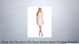 Calvin Klein Women's Tab Waist Dress, Latte/Ivory Combo, 16 Review