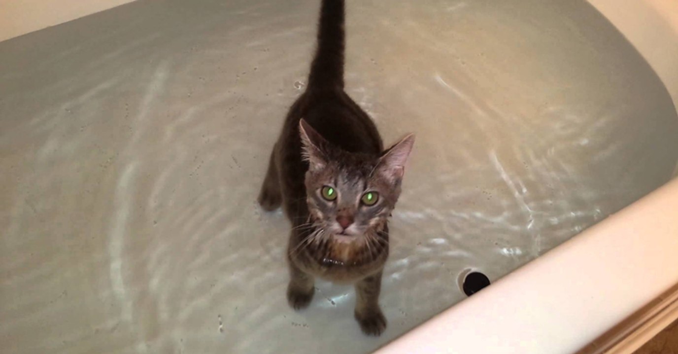 Enix playing in the tub
