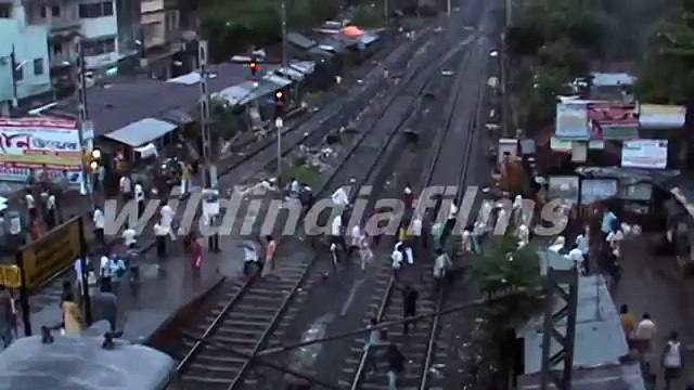 In third world country the men and women crosses the railway track by taking life in his mouth.