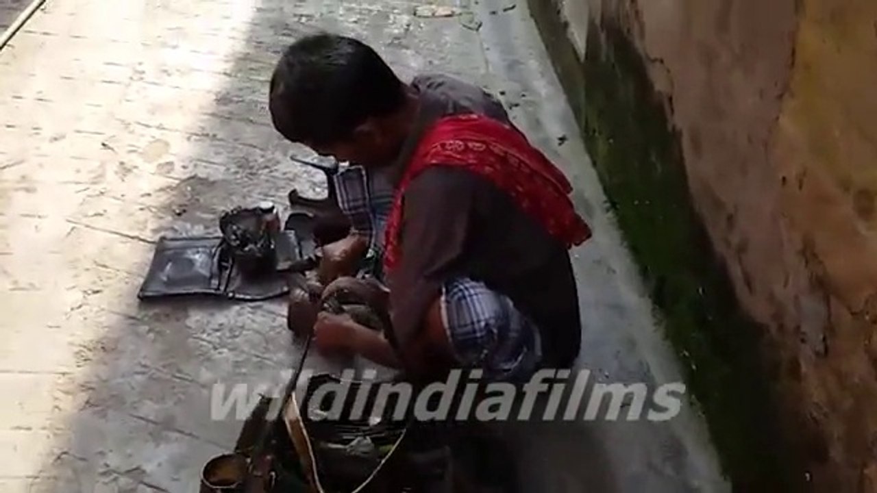 India roadside Cobbler ( Shoes shining ,shoe and sandal repairer) Only for India