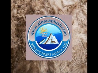 Interior Decor Ideas From Alpacaplush.com