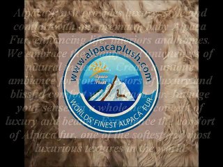 Sofa Throws From Alpacaplush.com