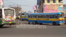 Nobody maintain traffic signal rules in kolkata busy road - wildindiafilms