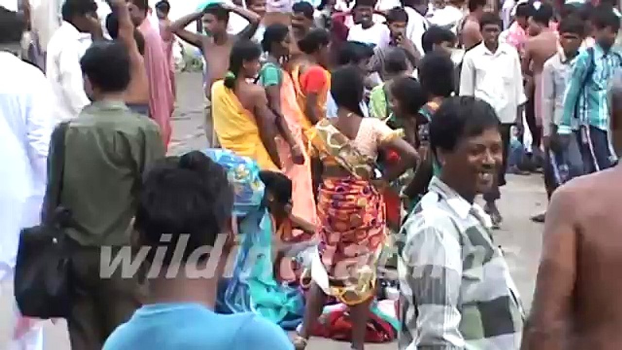 Pilgrims bathing on occasion of Shivratri at Ganga Ghat, Babughat Westbengal by wildindiafilms