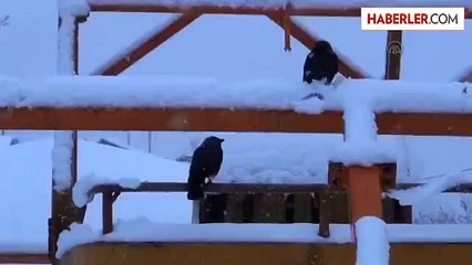 Doğu'da Kar Yağışı - Ağrı/ardahan/