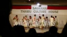Sauraha Tharu Culture House Jhamta Naach( Claping Dance)