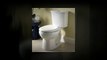 The Home Inspectors Dayton Ohio Show Bathroom Tip 101