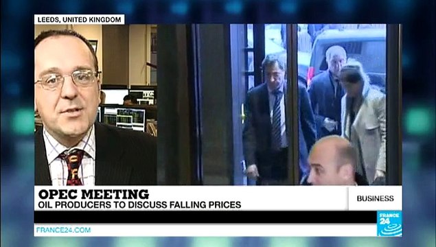 Oil prices 'could fall further' without OPEC output cut