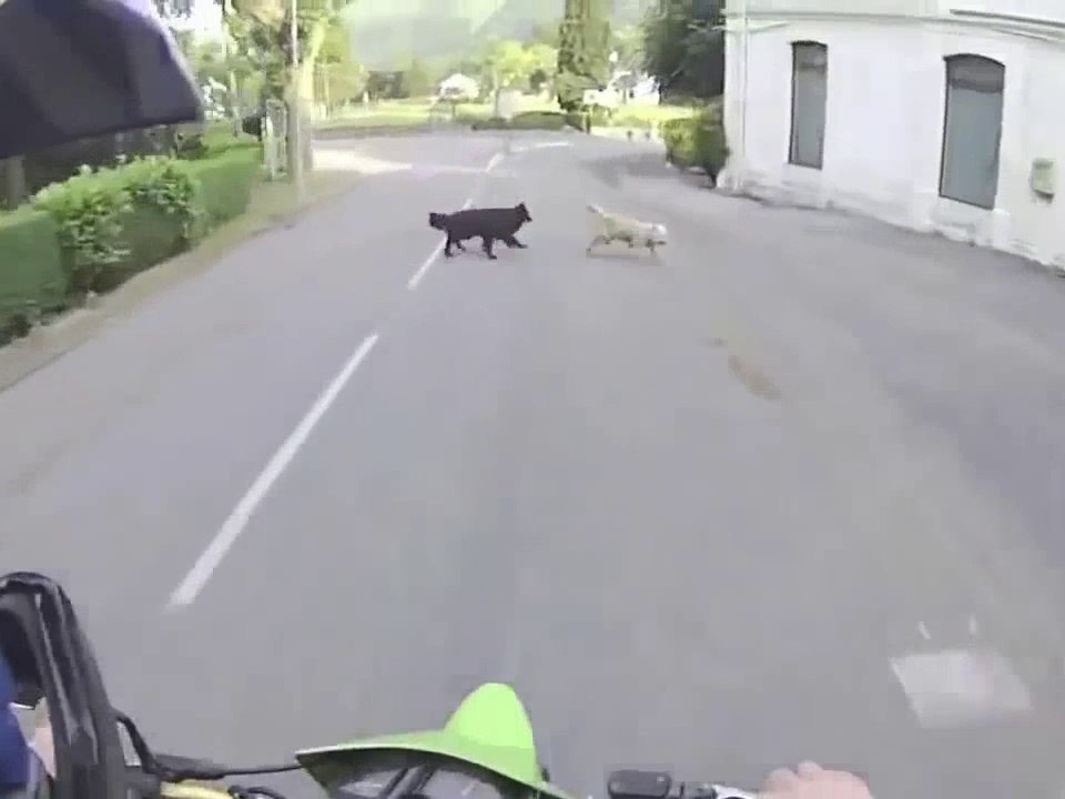a Very Funny Video Watch Now