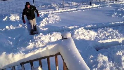 Un chien dans un labyrinthe de neige... Plus futé qu'il n'y parait!