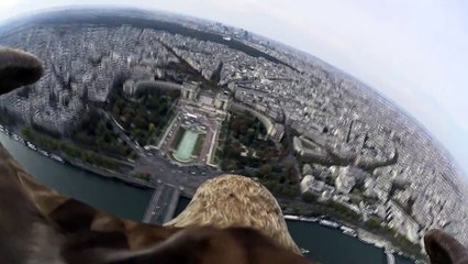 Un aigle survole Paris avec une GOPRO