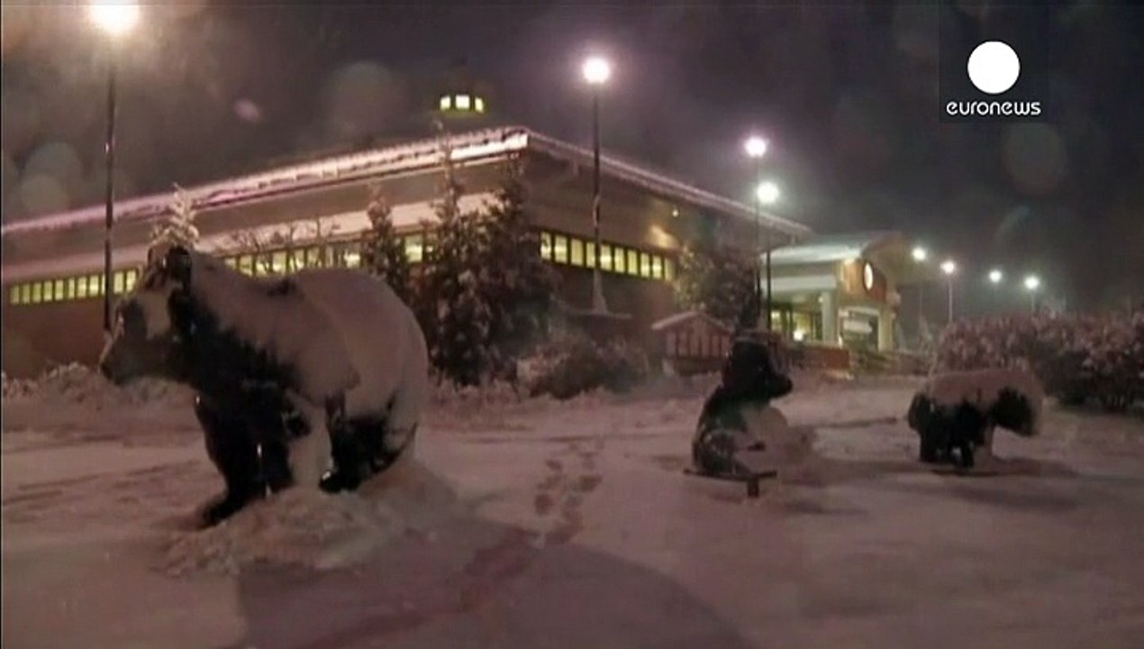 USA: Thanksgiving-Reisende kämpfen mit Unwettern - 'Mac' und 'Cheese' begnadigt