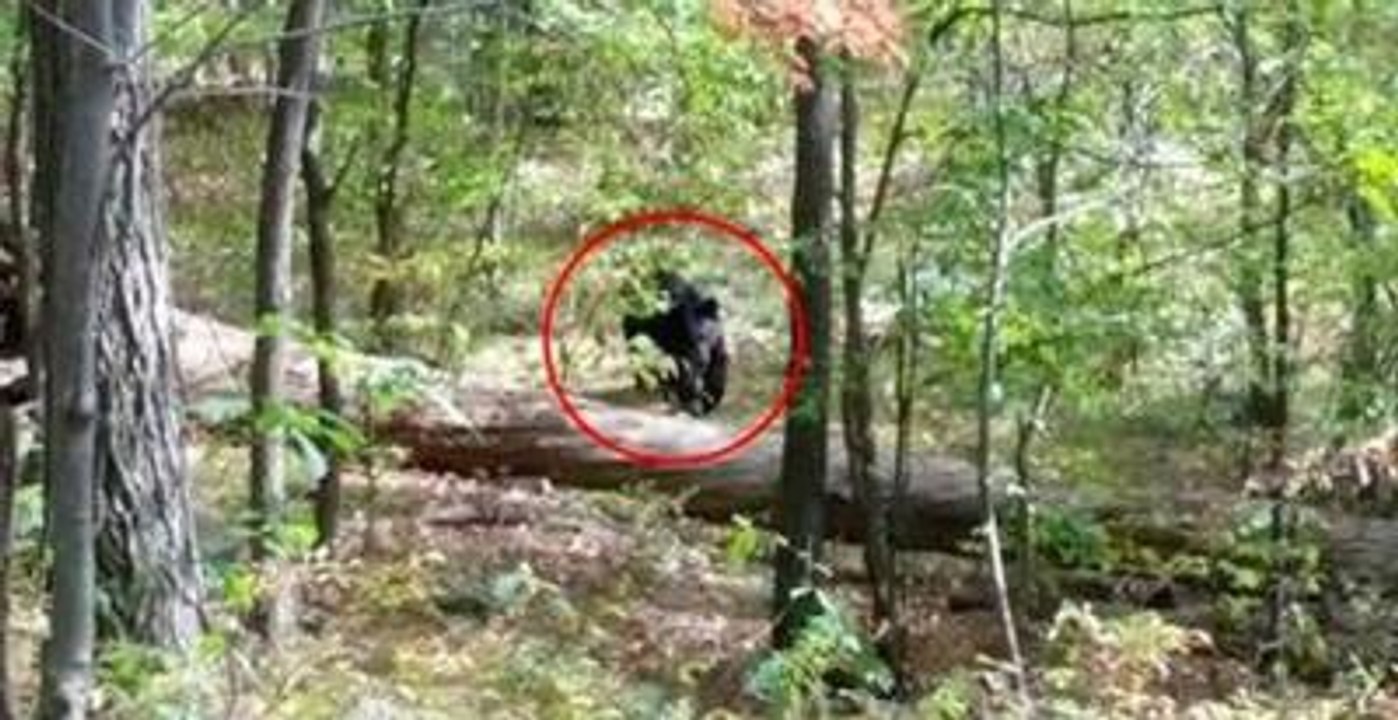 Ayı Saldırısına Uğrayan Öğrencinin, Ölmeden Önce Çektiği Son Fotoğraf