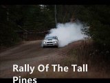 wrc Rally Of The Tall Pines online