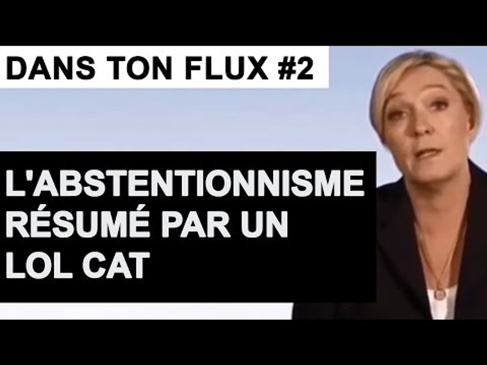 L'abstentionnisme résumé par un LOL CAT #DansTonFlux 2