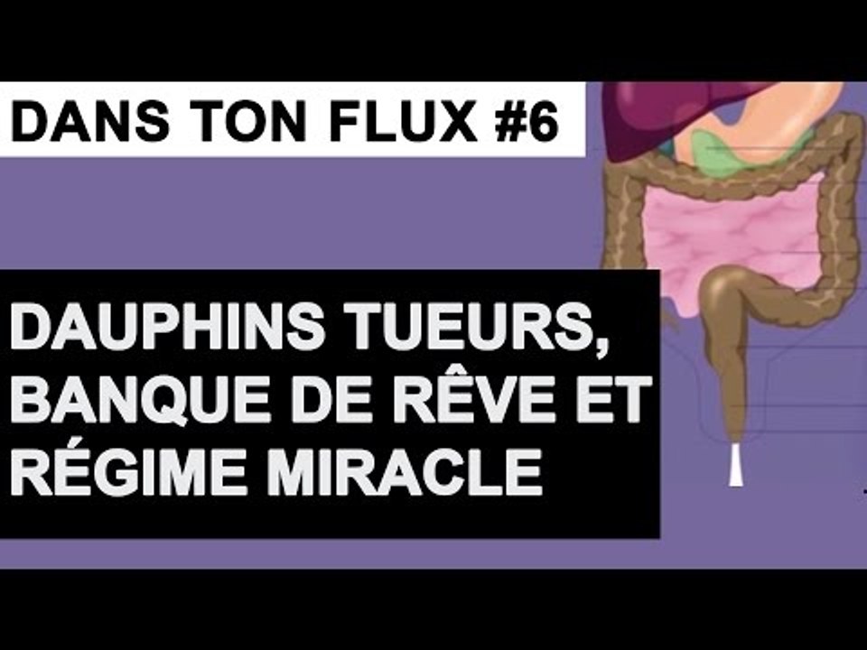 Dauphins tueurs, banque de rêve et régime miracle #DansTonFlux 6