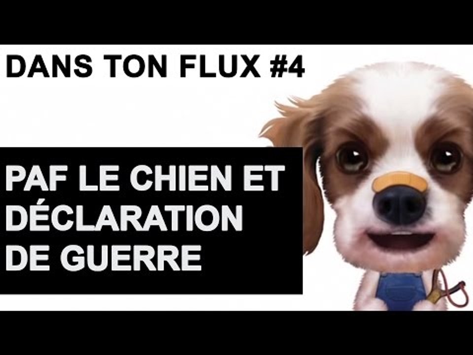 Paf le chien et déclaration de guerre  #DansTonFlux 4