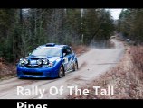 2014 Rally Of The Tall Pines Live wrc