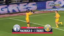 Los goles del: Pachuca vs Tigres (1 - 1)