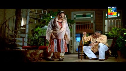 Mere Mehrban Episode 27 HUM TV Drama Full Episode_2