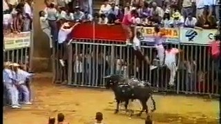 Bull Attack On A Young Girl