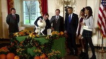 Obama rettet Truthähne vor dem Ofen