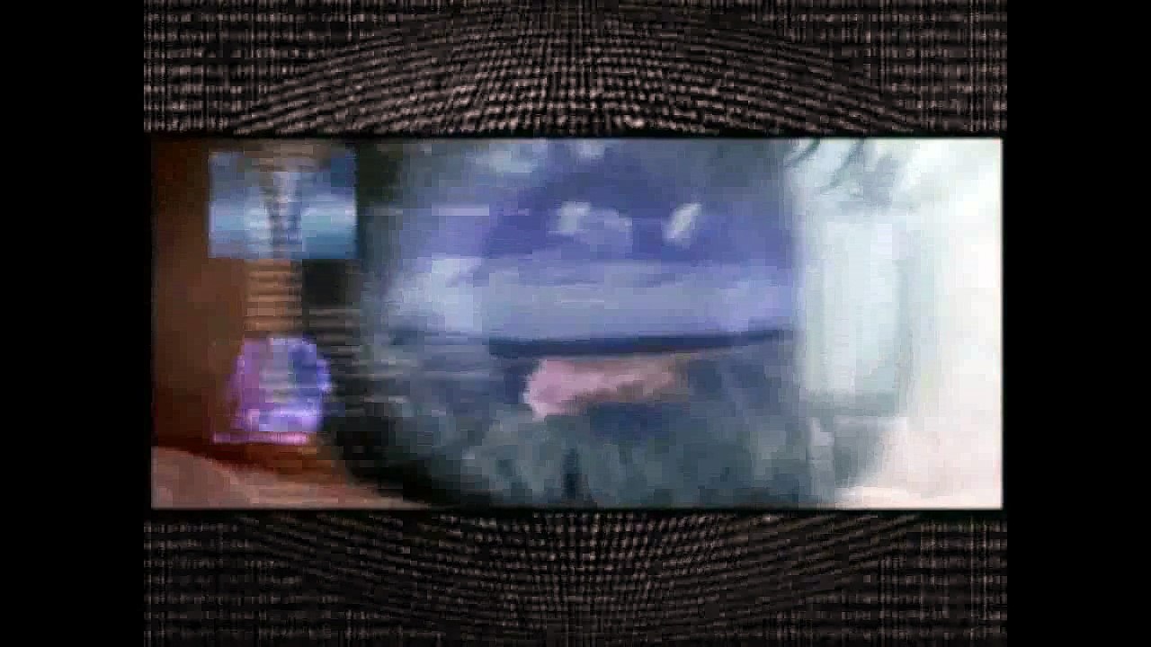 The Dutch And The Nazi`s