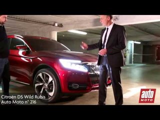 P016 CITROEN DS WILD RUBIS