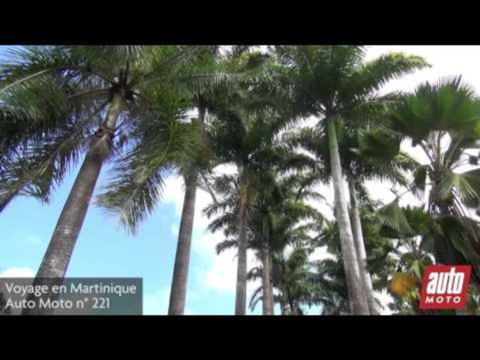 P107 VOYAGE EN MARTINIQUE