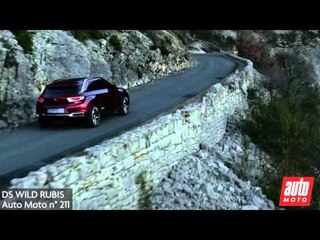 P032 DS WILD RUBIS