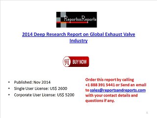 2014 Deep Research Report on Global Exhaust Valve Industry