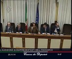Roma - Sistema previdenziale pubblico e privato, seguito audizione Enasarco (26.11.14)
