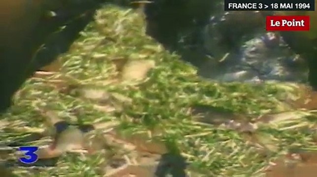 Génocide au Rwanda : c'était il y a 20 ans