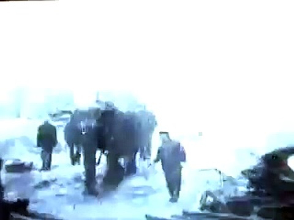 Topsy l'éléphante électrocutée le 4 janvier 1903 par Thomas Edison à Luna Park