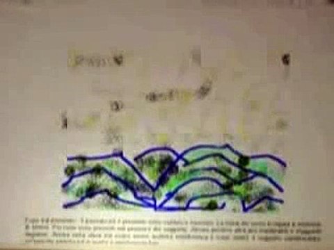 Corrado Malanga - 2006 - Udine - TAV Seconda Parte e Test Stelle e Onde - Parte 7 di 7 {SoXoS}